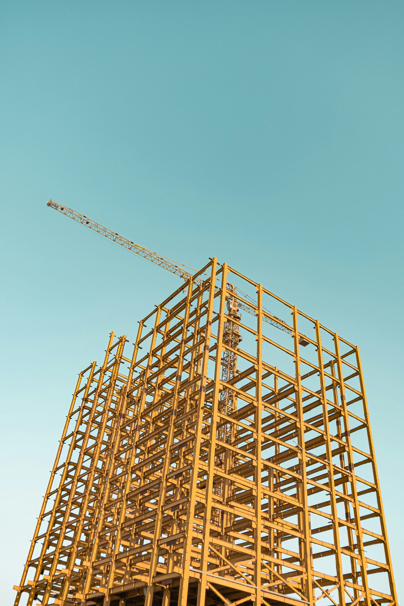 Timber frame structure rising against a clear sky
